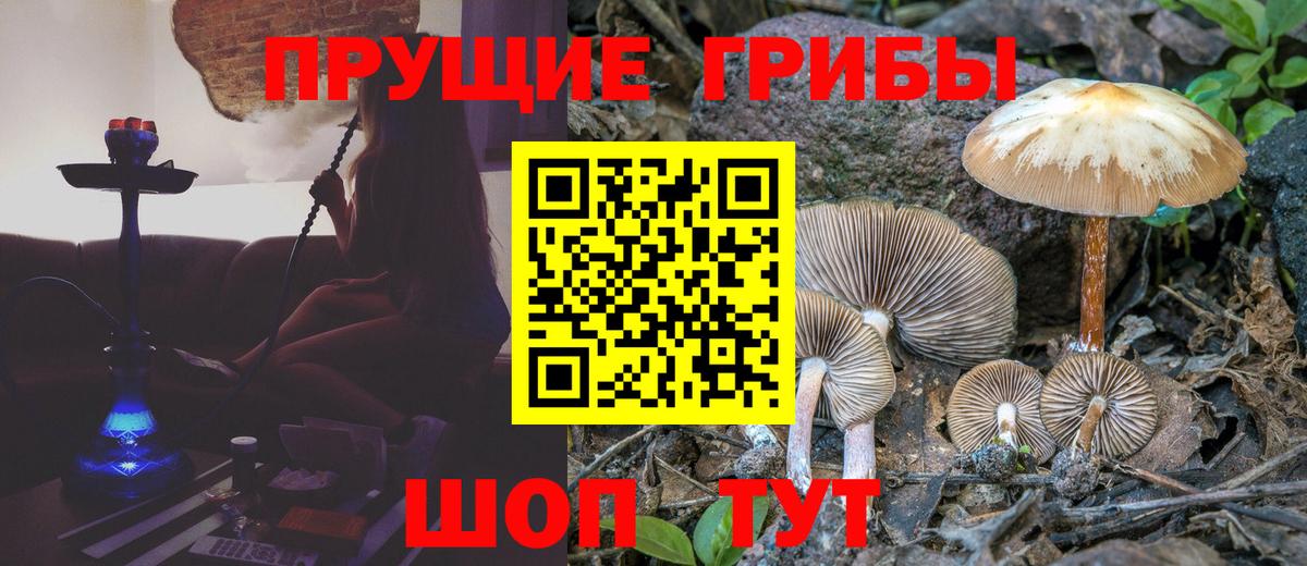 Галлюциногенные грибы Magic Shrooms  Вход с VPN  Керчь 